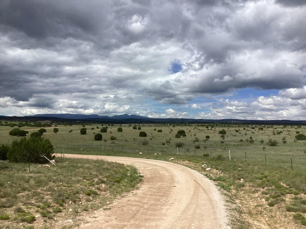 COUNTY RD A052 TRACT A, ESTANCIA, NM 87016, photo 1 of 6