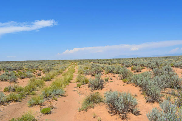 LOT 8 RIO DEL ORO # 12, LOS LUNAS, NM 87031, photo 5 of 14