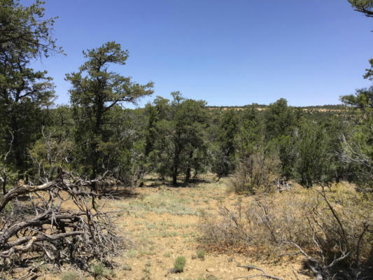 LOT 1 TIN CAN ALLEY ROAD, RAMAH, NM 87321, photo 5 of 22