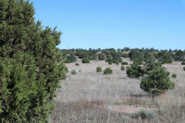 LOT 12 GREENS GAP RANCHES, DATIL, NM 87821, photo 5 of 6