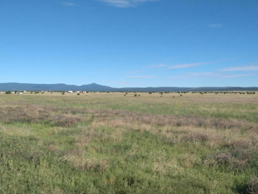 RILEY ROAD, ESTANCIA, NM 87016, photo 2 of 15