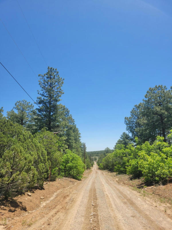 10269 NM 337, TIJERAS, NM 87059, photo 1 of 6