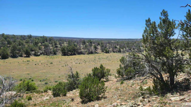 NORTH LOTS - CALLS PLACE, RAMAH, NM 87321, photo 3 of 37