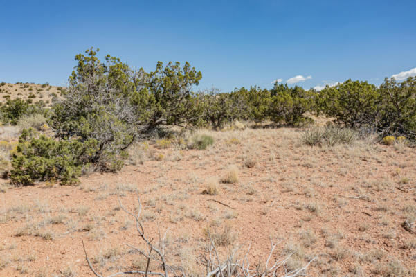 265 STAR MEADOW RD, PLACITAS, NM 87043, photo 4 of 25