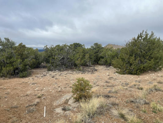 11 RAIN DANCE RD, SANDIA PARK, NM 87047, photo 4 of 15