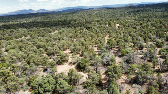 LOT 5 CATTLEMEN'S COURT, PIE TOWN, NM 87827 - Image 1