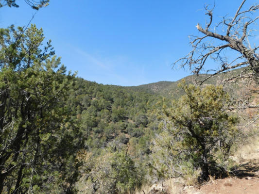 LOT 18 RIVERS WEST ROAD, RESERVE, NM 87830, photo 5 of 14