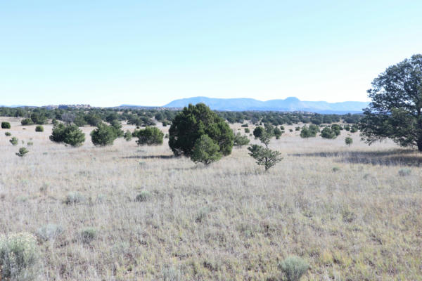 LOT 12 GREENS GAP RANCHES, DATIL, NM 87821, photo 2 of 6
