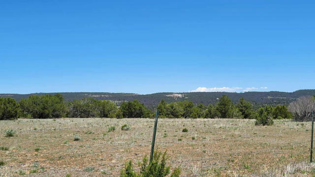 NORTH LOTS - CALLS PLACE, RAMAH, NM 87321, photo 5 of 37