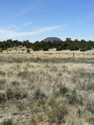 UNK BLUE HILLS TRAIL, PIE TOWN, NM 87827, photo 3 of 7