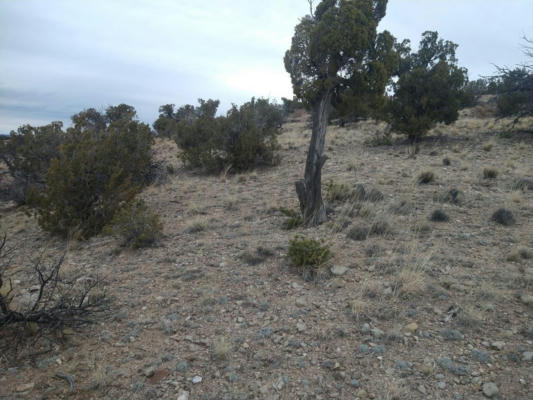 TRACT 6 BRIDLE PATH LOOP, MOUNTAINAIR, NM 87036, photo 5 of 19