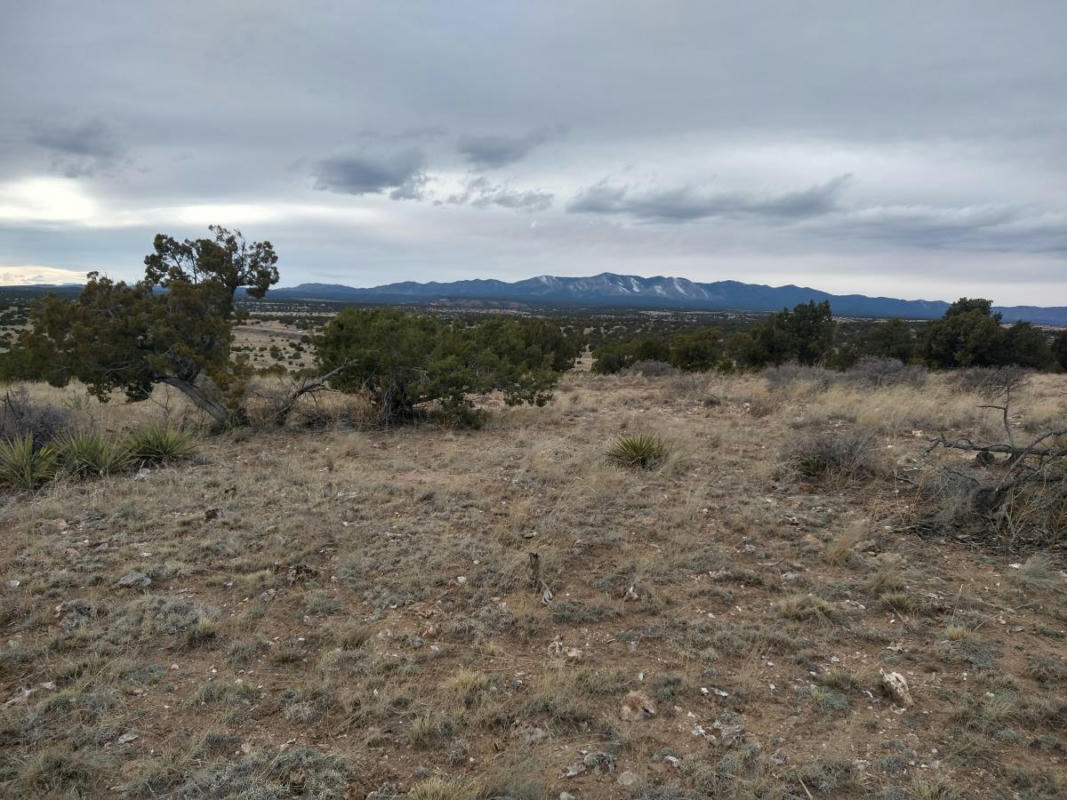 TRACT 3 BRIDLE PATH LOOP, MOUNTAINAIR, NM 87036, photo 1 of 14