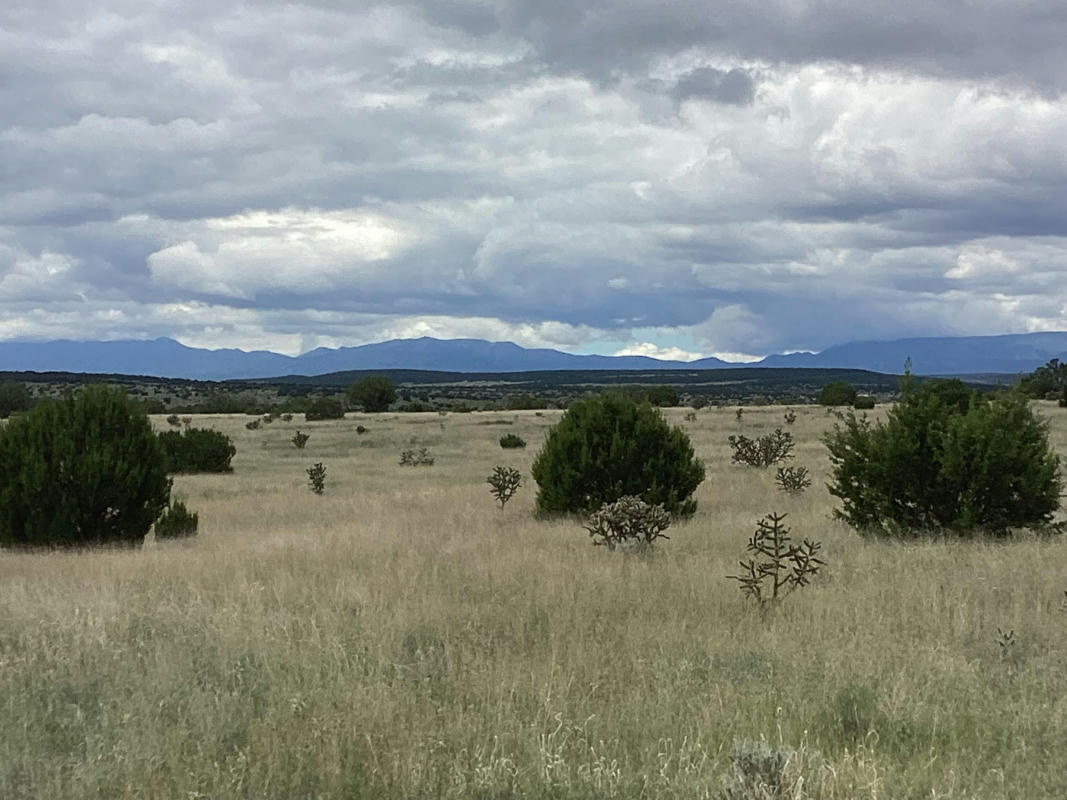 COUNTY RD A052 TRACT F-1, ESTANCIA, NM 87016, photo 1 of 4