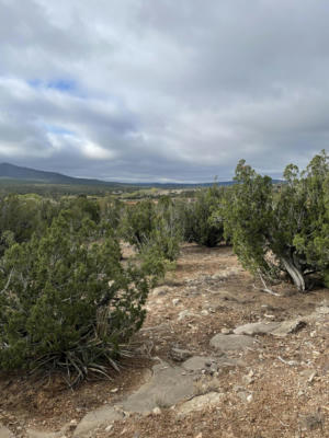 11 RAIN DANCE RD, SANDIA PARK, NM 87047, photo 5 of 15