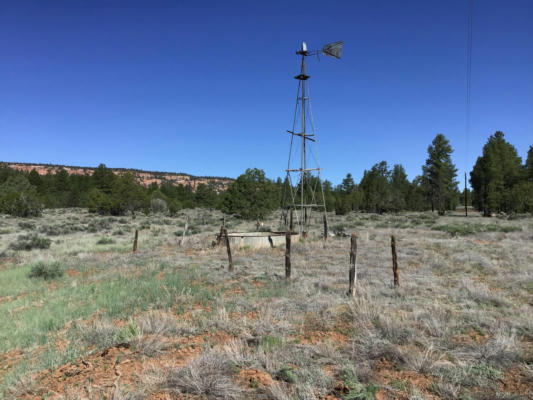 LOT 23 COTTONWOOD LANE, RAMAH, NM 87321 - Image 1