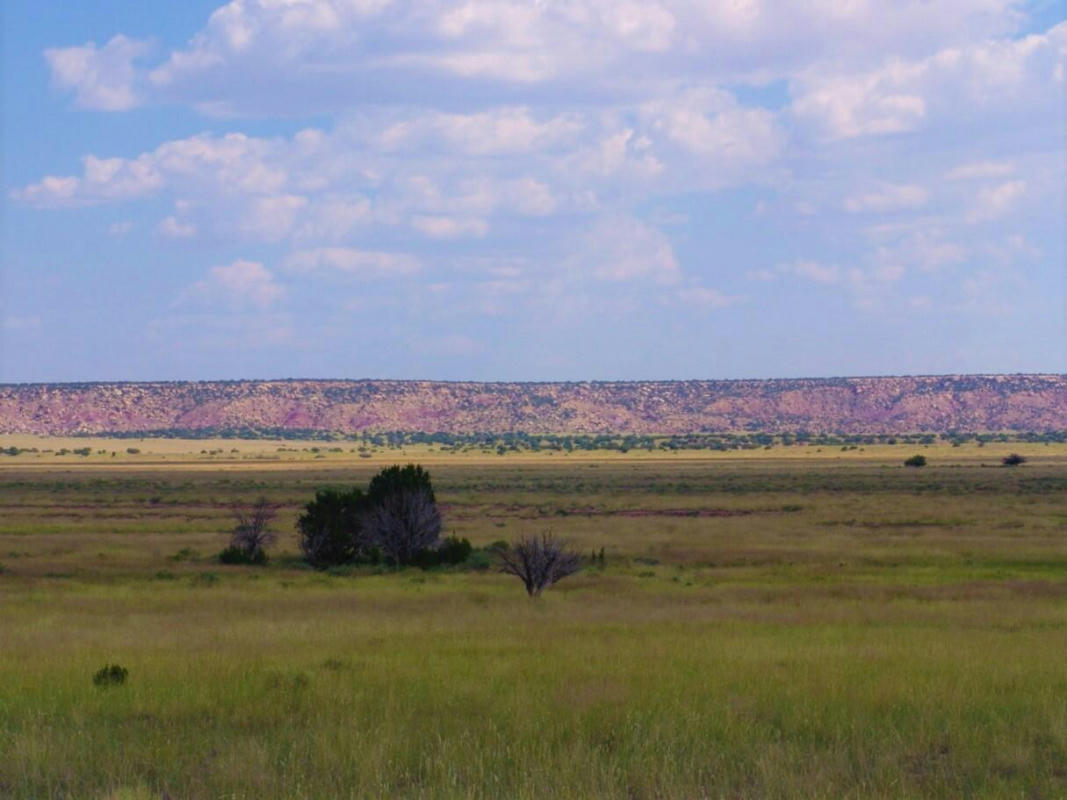 22 DRAW ROAD, QUEMADO, NM 87829, photo 1 of 11