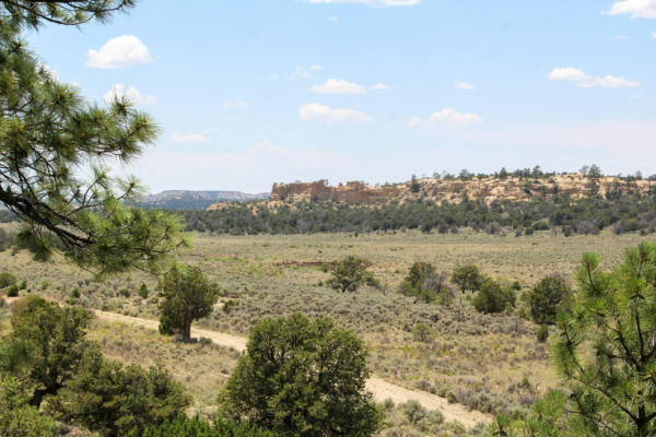 SAN ISIDRO MESA RANCH, CUBA, NM 87013 - Image 1