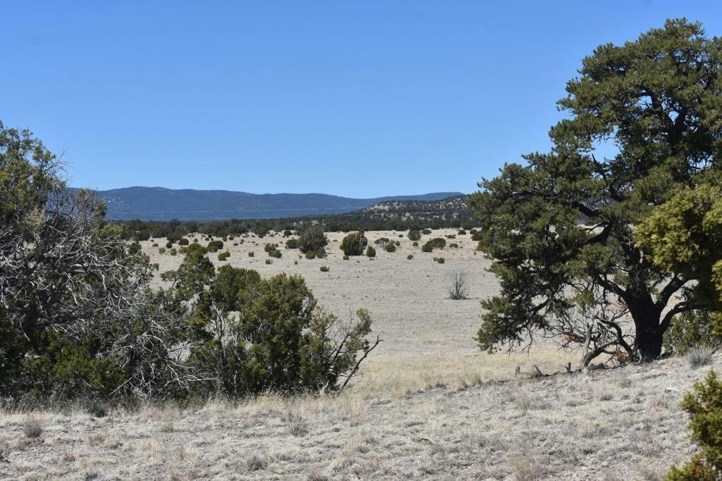 LOT 15 OLD THOMAS PLACE IV, DATIL, NM 87821, photo 1 of 33
