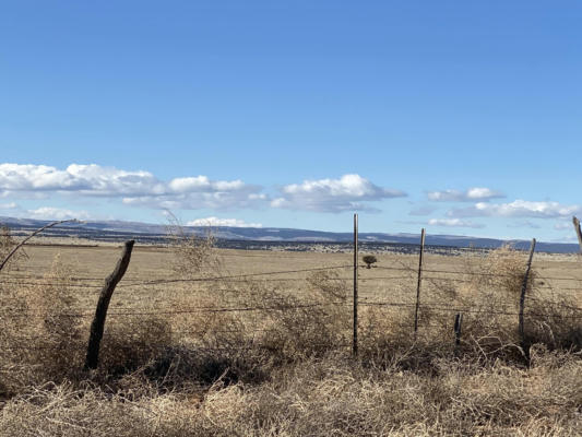 BLUEGRASS, TRACT 4 ROAD, ESTANCIA, NM 87016, photo 5 of 5