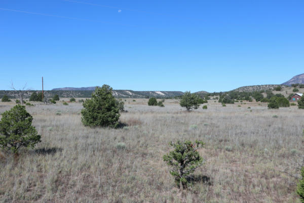 LOT 12 GREENS GAP RANCHES, DATIL, NM 87821, photo 4 of 6