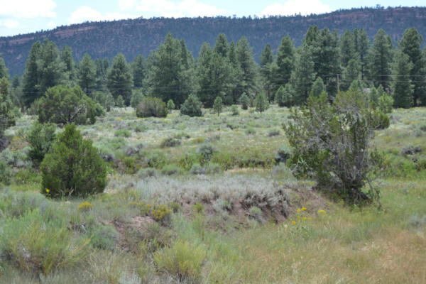 TIMBERLAKE RANCH, RAMAH, NM 87321 - Image 1