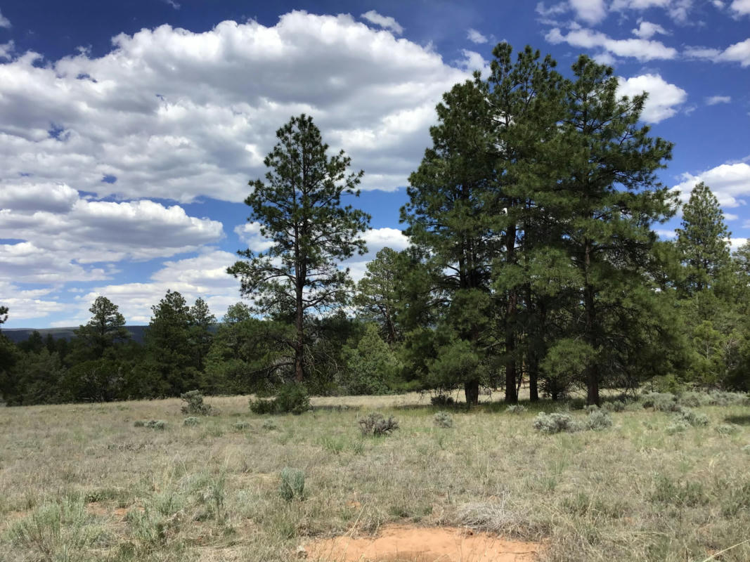 TRACT A2-C GREEN EYED LADY, RAMAH, NM 87321, photo 1 of 39
