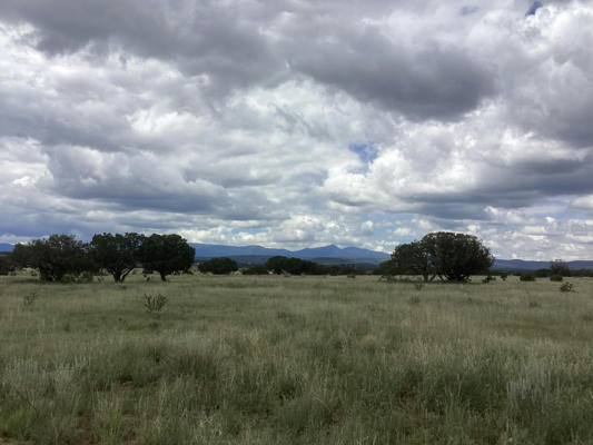 COUNTY RD A052 TRACT F-1, ESTANCIA, NM 87016, photo 2 of 4