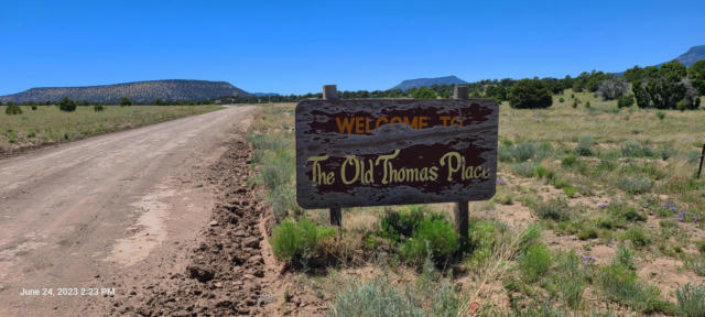 LOT 6 OLD THOMAS PLACE, DATIL, NM 87821, photo 5 of 33