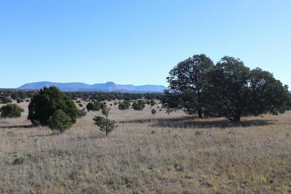 LOT 12 GREENS GAP RANCHES, DATIL, NM 87821, photo 1 of 6
