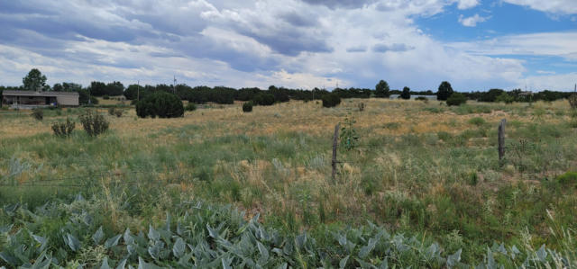 MARTINEZ ROAD, MORIARTY, NM 87035 - Image 1