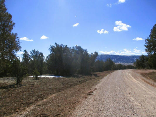 LOT 23 COPPERWEED ROAD, RAMAH, NM 87321, photo 5 of 80