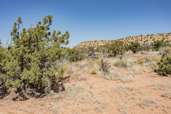 265 STAR MEADOW RD, PLACITAS, NM 87043, photo 5 of 25