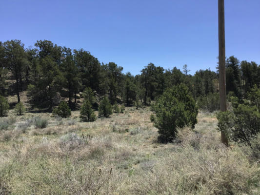 LOT 2 TIN CAN ALLEY ROAD, RAMAH, NM 87321, photo 3 of 30