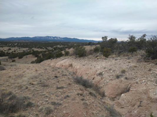 TRACT 6 BRIDLE PATH LOOP, MOUNTAINAIR, NM 87036, photo 4 of 19