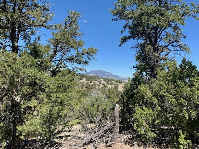86 RANCH RD, DATIL, NM 87821, photo 1 of 13