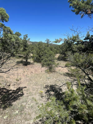LOOKOUT CIRCLE, DATIL, NM 87821, photo 4 of 5