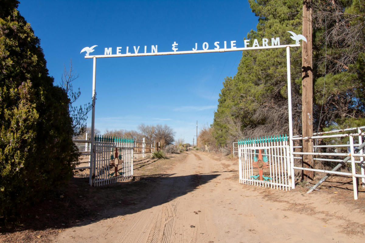 10 MELVIN SANCHEZ RD, LOS LUNAS, NM 87031, photo 1 of 59