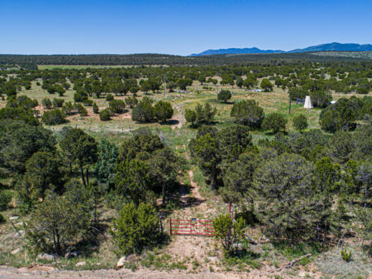 36 FOREST ROAD 321, ESTANCIA, NM 87016, photo 2 of 12