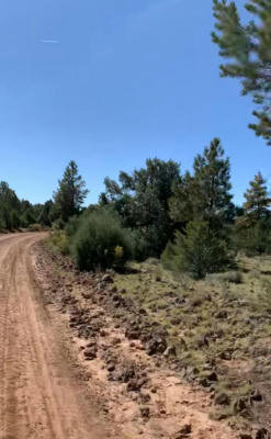 0 CERRO LEONIDES ROAD, GRANTS, NM 87020 - Image 1