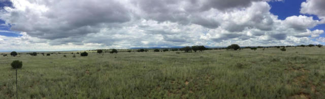 COUNTY RD A052 TRACT F-1, ESTANCIA, NM 87016, photo 3 of 4