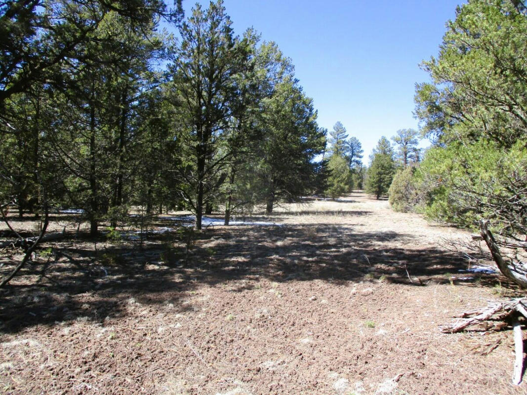 LOT 5 COPPERWEED ROAD, RAMAH, NM 87321, photo 1 of 90