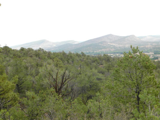 27 & 28 WEST RIVERS ROAD, RESERVE, NM 87830, photo 2 of 15