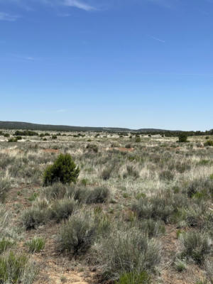 UNK BLUE HILLS TRAIL, PIE TOWN, NM 87827, photo 5 of 7