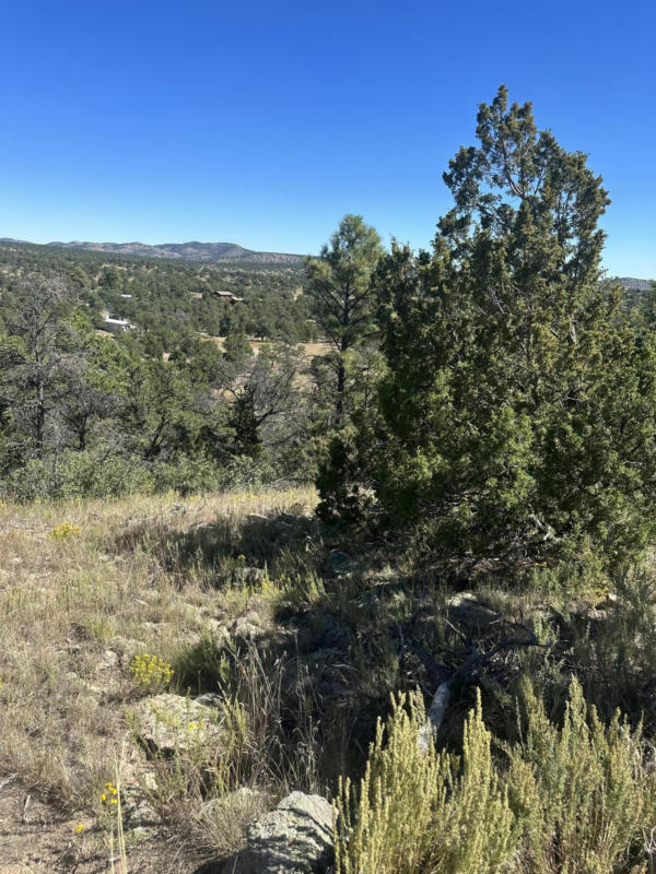 LOOKOUT CIRCLE, DATIL, NM 87821, photo 1 of 5