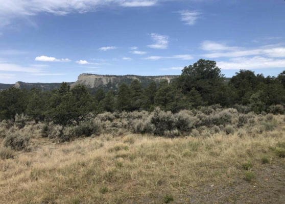 S LEANING LOT B, TIERRA AMARILLA, NM 87575 - Image 1