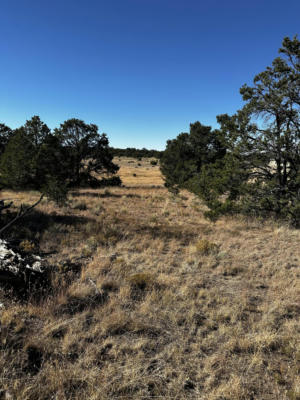 AGUA FRIA, QUEMADO, NM 87829, photo 3 of 5