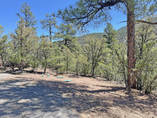TRACT1E1A RAPTOR ROAD, JEMEZ SPRINGS, NM 87025, photo 5 of 14