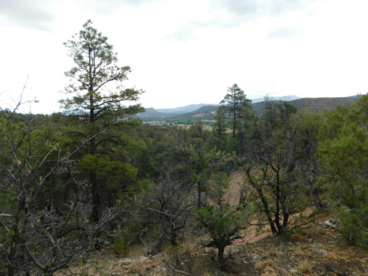 27 & 28 WEST RIVERS ROAD, RESERVE, NM 87830, photo 4 of 15