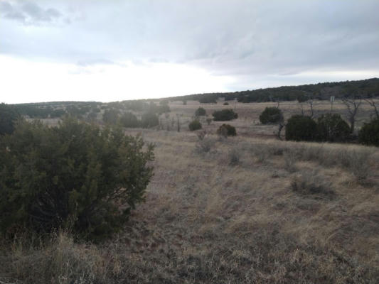 TRACT 8 BRIDLE PATH LOOP, MOUNTAINAIR, NM 87036, photo 5 of 19