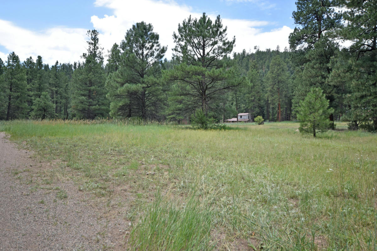 7 HIDDEN VALLEY RD, JEMEZ SPRINGS, NM 87025, photo 1 of 13